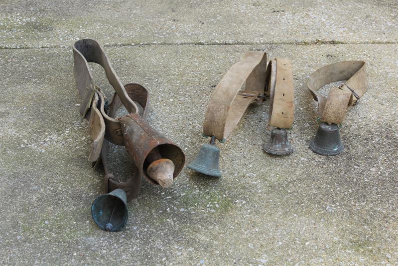 <span><p>Chocalhos</p></span>