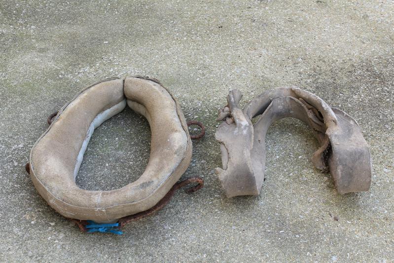 <span><p>Cinta para colocar � volta do pesco�o do burro</p></span>