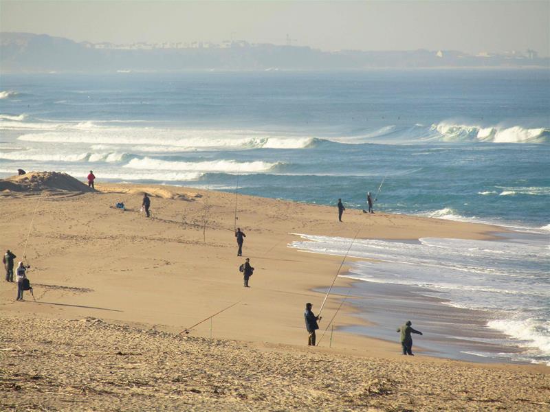 <span><p>Lagoa de �bidos</p></span>