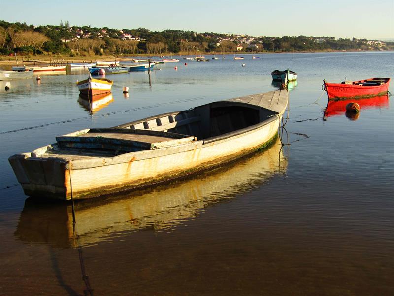 <span><p>Lagoa de �bidos</p></span>