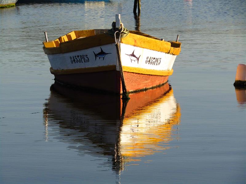 <span><p>Lagoa de �bidos</p></span>