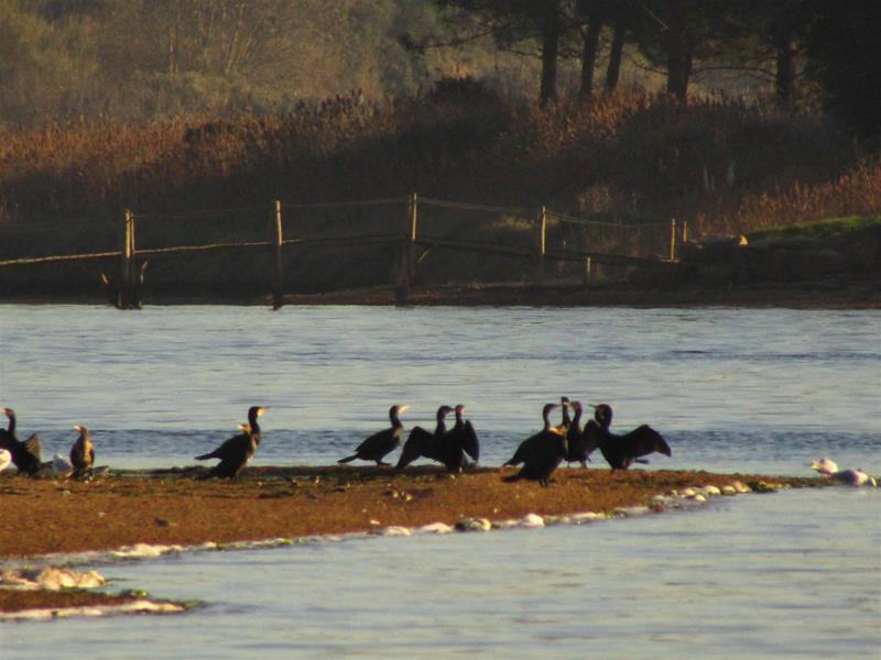 <span><p>Lagoa de �bidos</p></span>