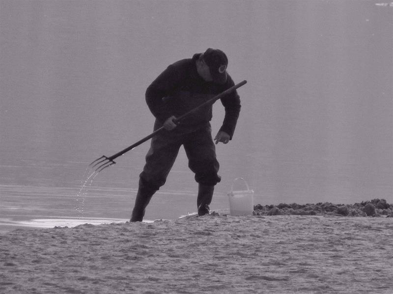 <span><p>Lagoa de �bidos</p></span>