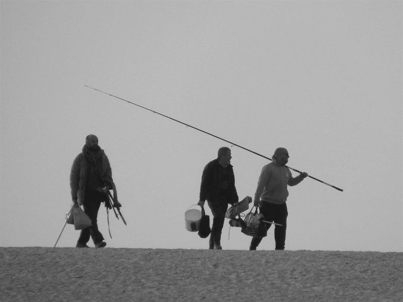 <span><p>Lagoa de �bidos</p></span>