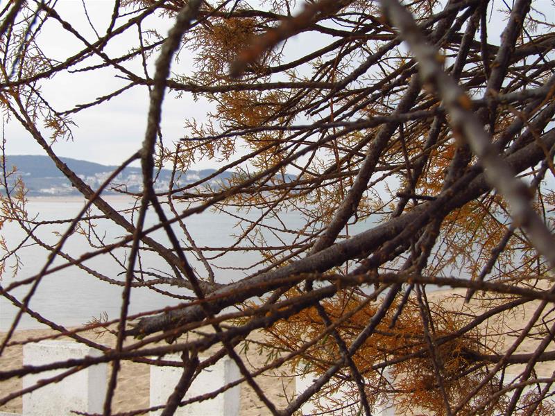 <span><p>Lagoa de �bidos</p></span>