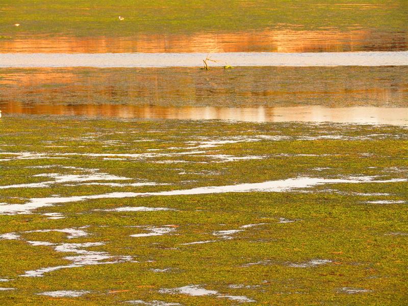 <span><p>Lagoa de �bidos</p></span>