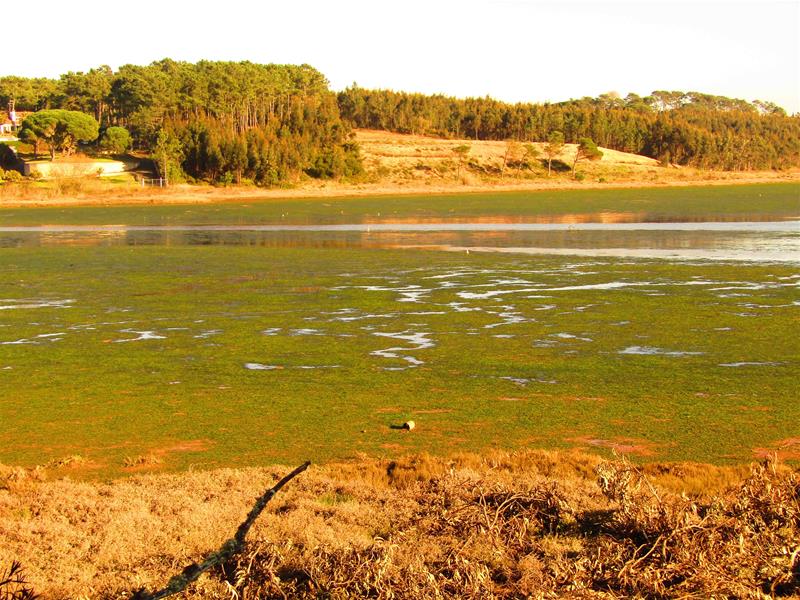 <span><p>Lagoa de �bidos</p></span>
