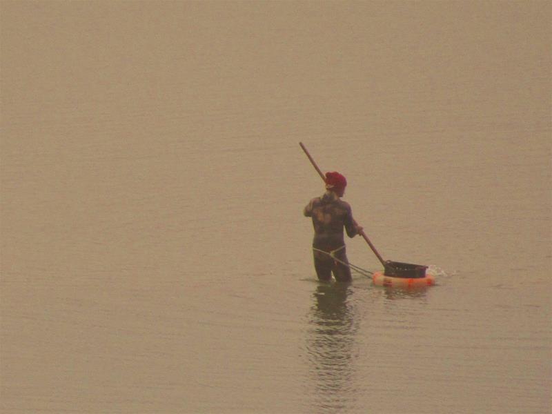 <span><p>Lagoa de �bidos</p></span>