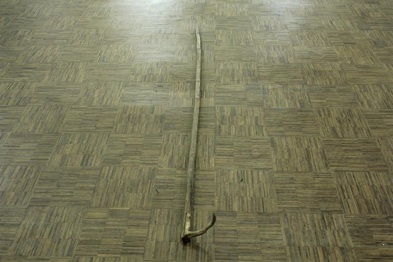 <span><p>Gadanho do limo</p></span>