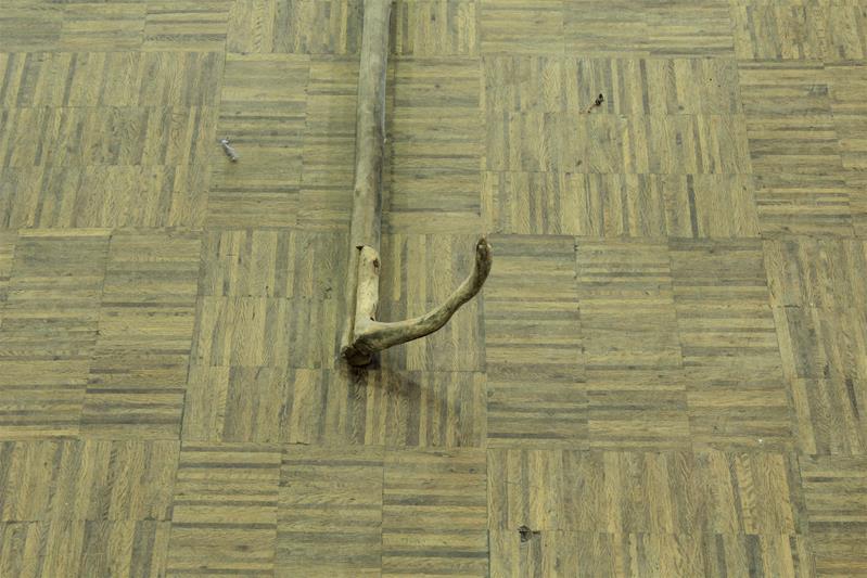 <span><p>Gadanho do limo</p></span>