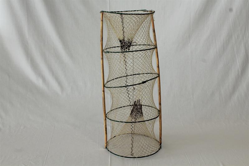 <span><p>Nassa e Galricho</p></span>