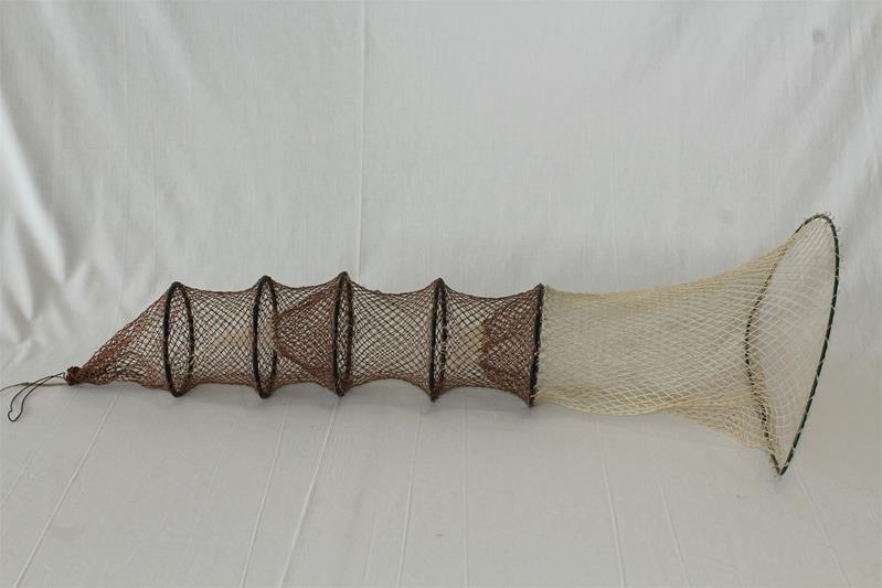 <span><p>Nassa e Galricho</p></span>