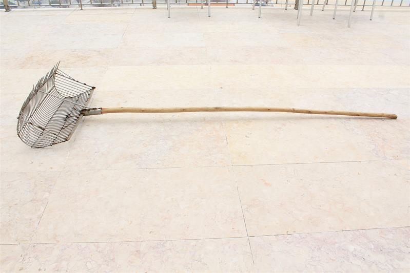 <span><p>Berbigueira ou Ansinho de m�o</p></span>