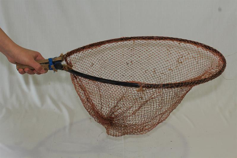 <span><p>Camaroeiro</p></span>