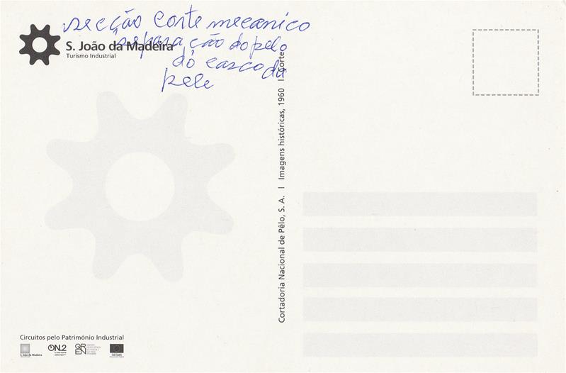 <span><p>Postal “Separa��o do pelo do casco da pele”</p></span>