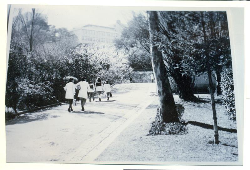 <span><p>Alunas e professoras da Escola Marquesa de Alorna</p></span>