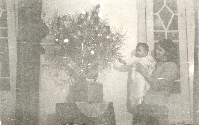 <span><p>Helo�sa Cid no seu primeiro Natal</p></span>