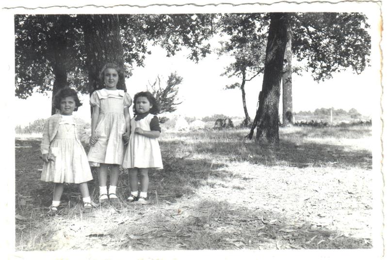 <span><p>"Terras" no final da Ramalho Ortig�o</p></span>