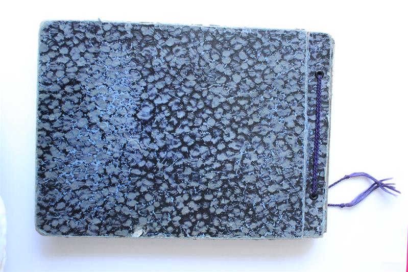 <span><p>�lbum fotogr�fico de Francelina de Barros</p></span>