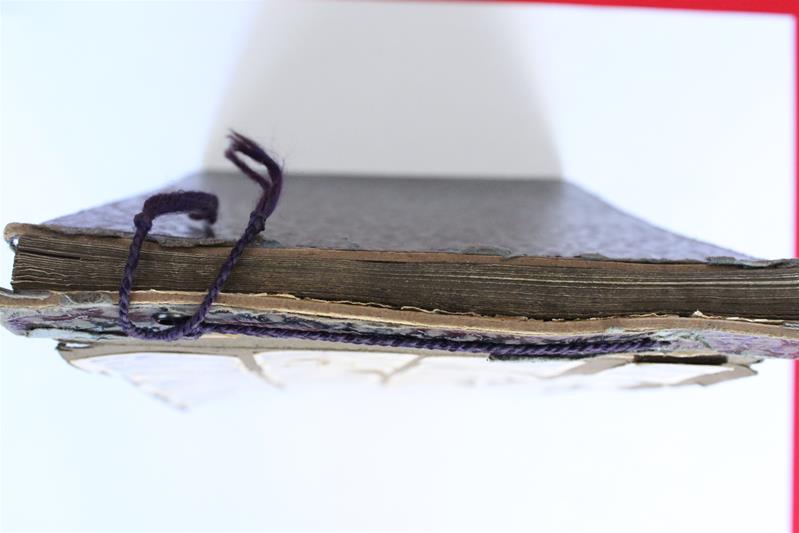 <span><p>�lbum fotogr�fico de Francelina de Barros</p></span>