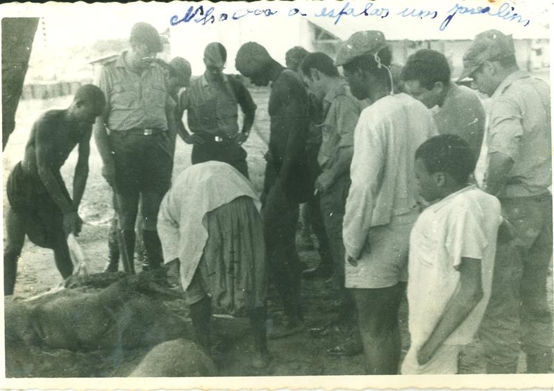<span><p>Conjunto de fotografias da Guerra Colonial</p></span>
