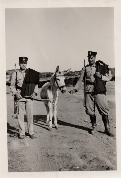 <span><p>Arquivo de Ernesto Cavaleiro</p></span>