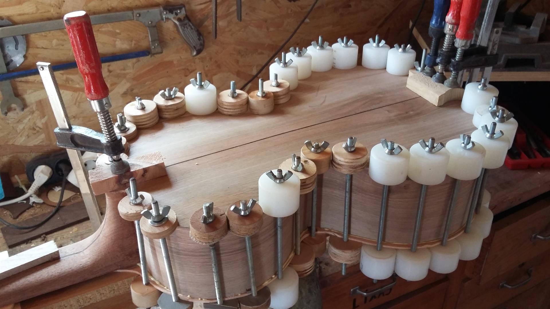 <span><p>Viola Campani�a</p></span>