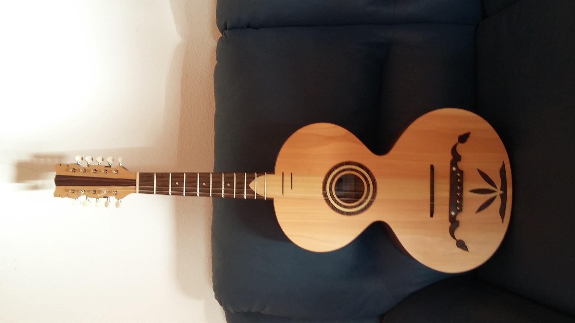 <span><p>Viola Campani�a</p></span>