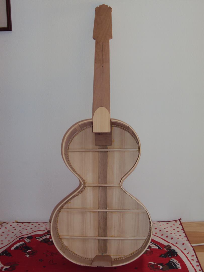 <span><p>Viola Campani�a</p></span>