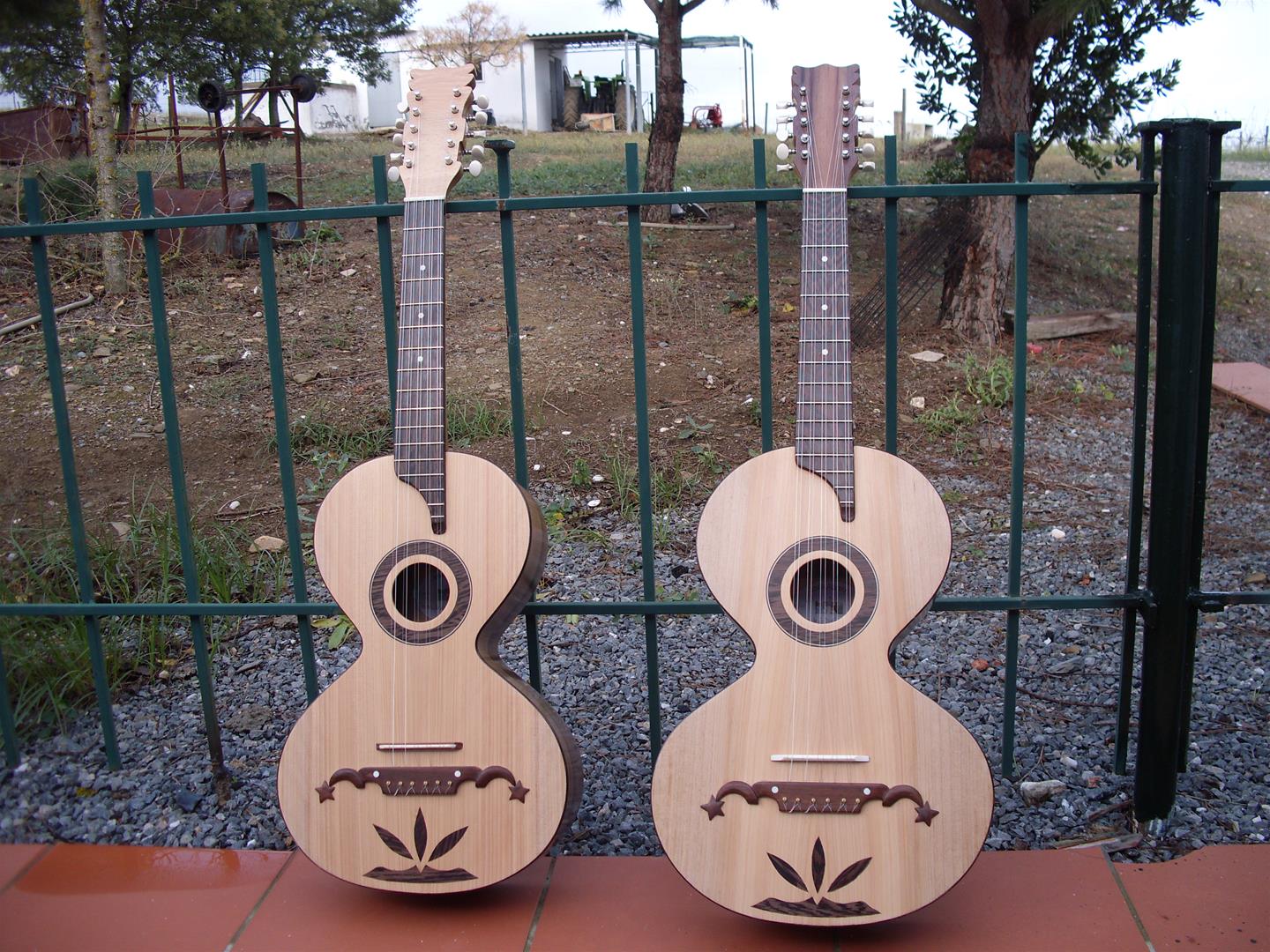 <span><p>Viola Campani�a</p></span>