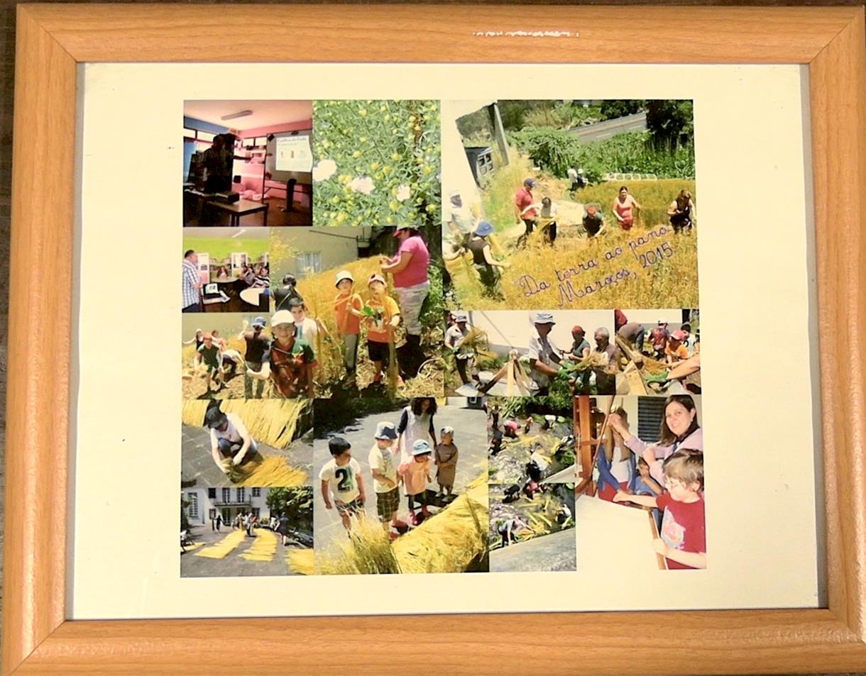 <span><p>Colagem de fotografias de atividade do linho</p></span>