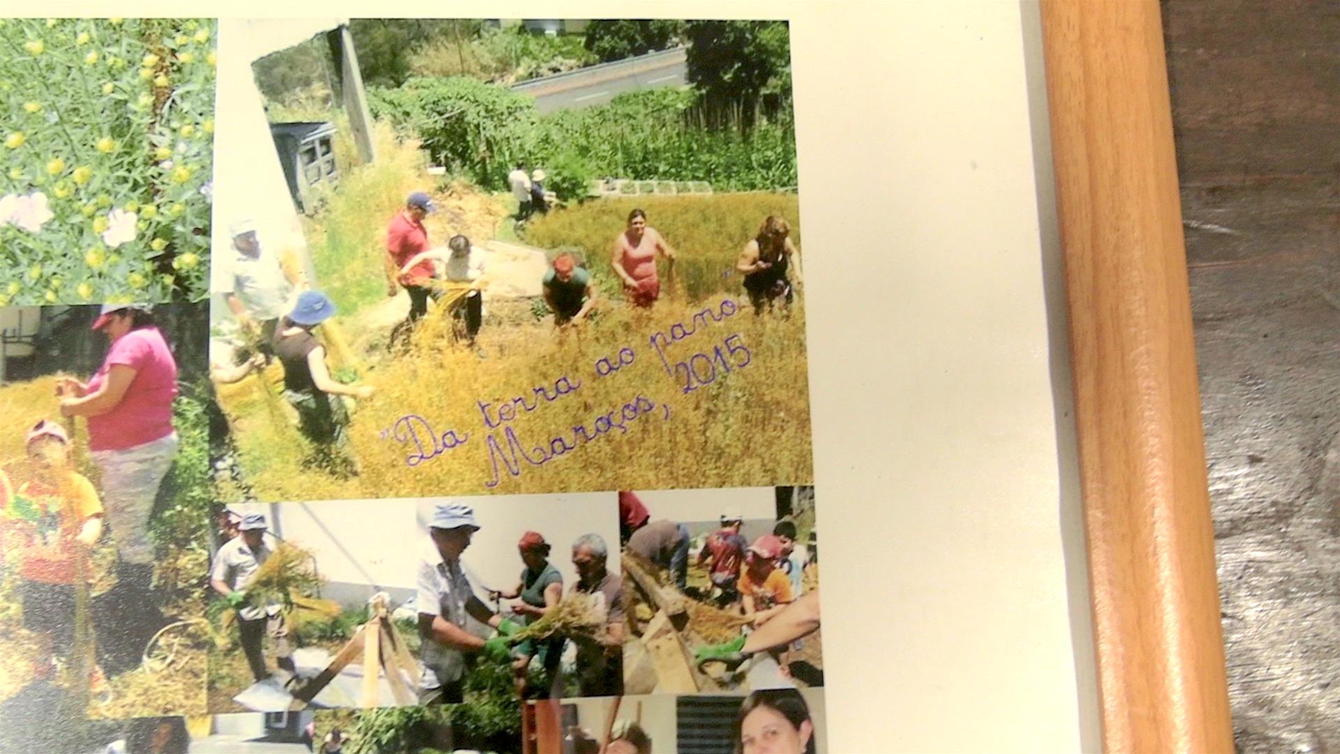 <span><p>Colagem de fotografias de atividade do linho</p></span>