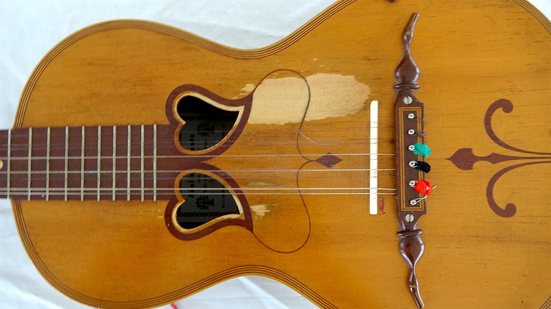 <span><p>Viola da Terra</p></span>