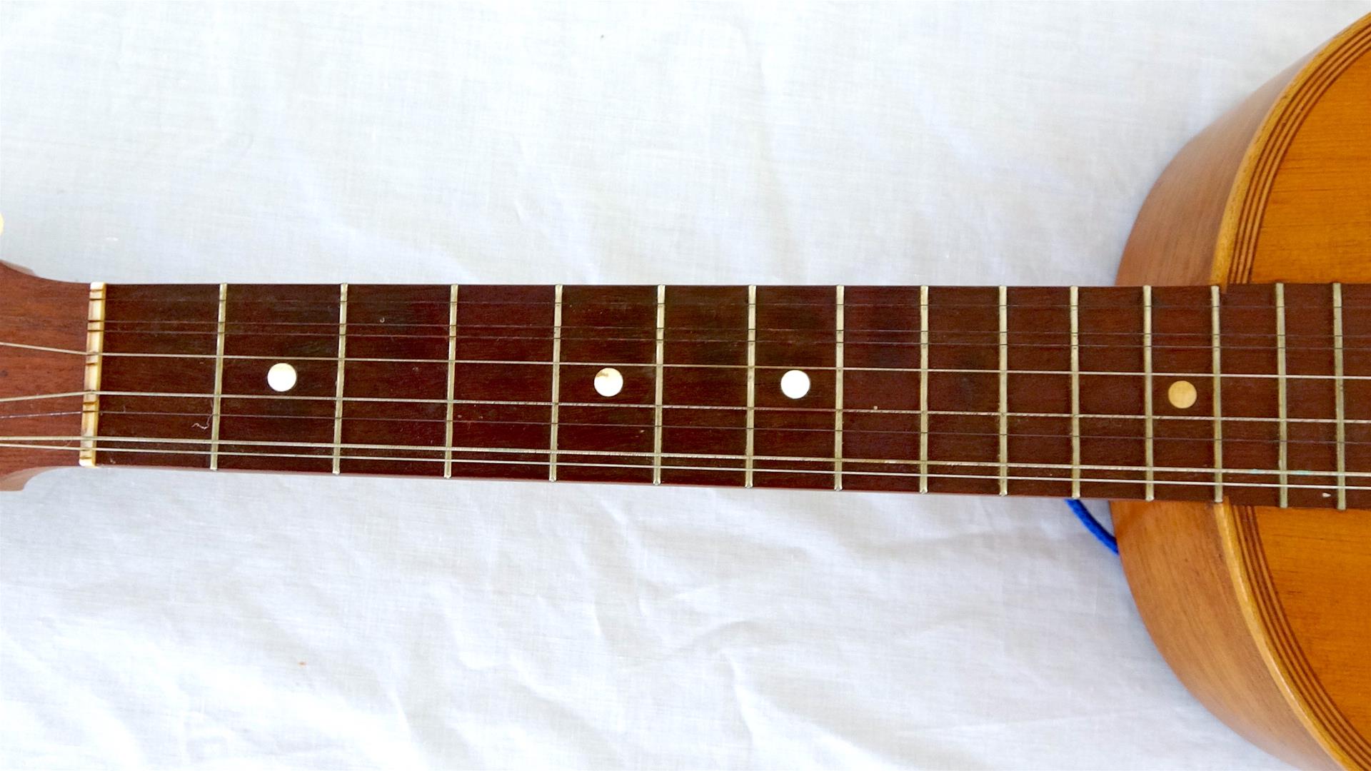 <span><p>Viola da Terra</p></span>