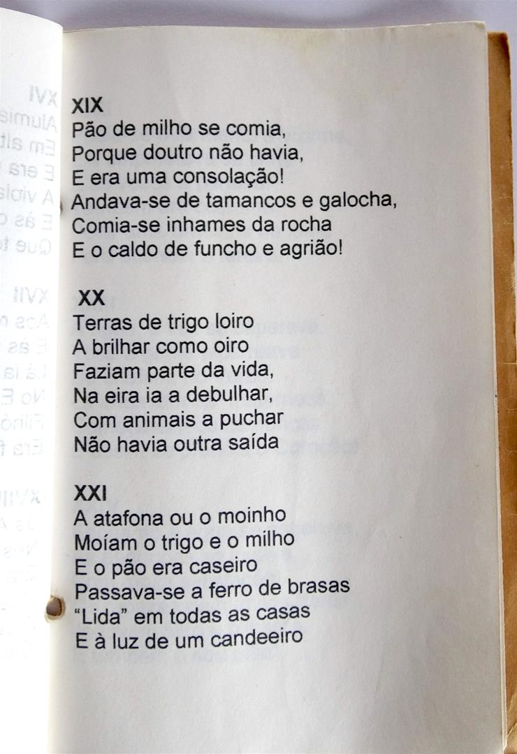 <span><p>Livro com o poema "Mem�rias do Toledo" escrito por Leoc�dia Silveira em 1992. Versa sobre a hist�ria do lugar do Toledo. Foi feito no �mbito da festa de final de segundo ciclo a pedido do professora (1992)</p></span>