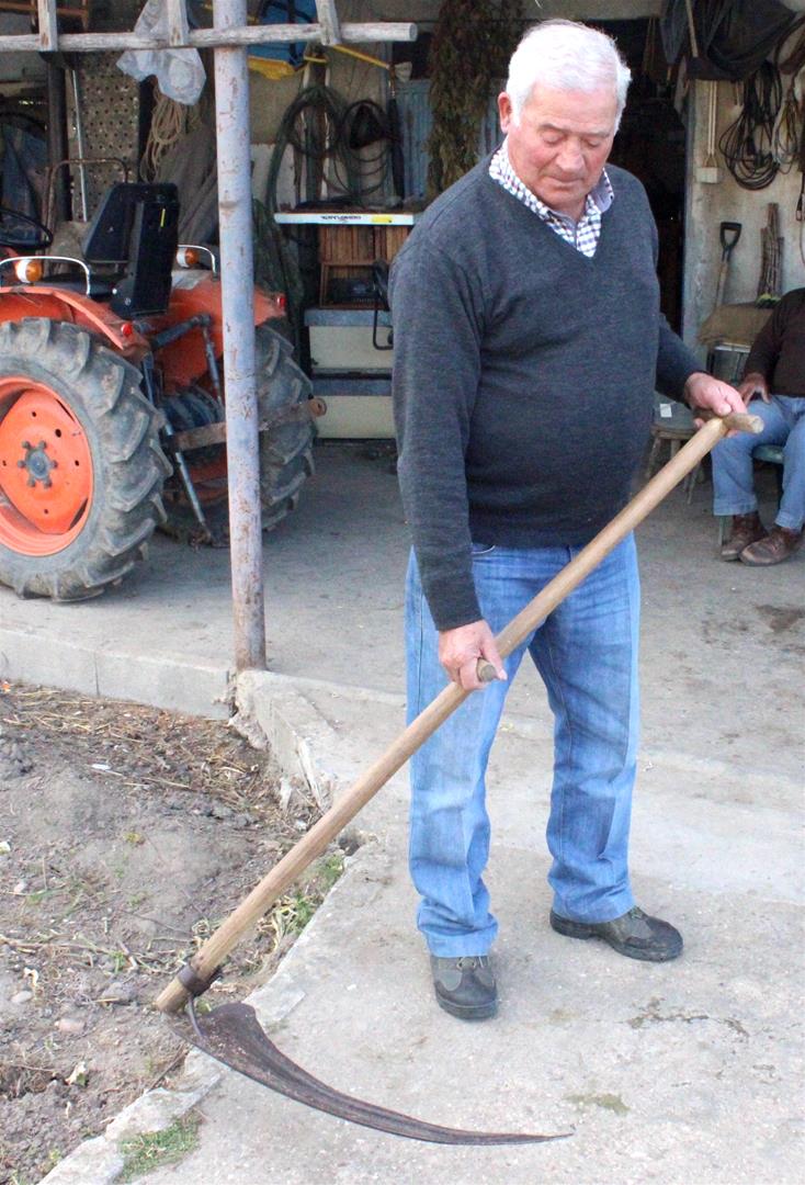 <span><p>Gadanho</p></span>