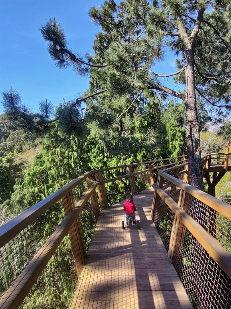 <span><p>Visita em fam�lia ao Parque de Serralves</p></span>