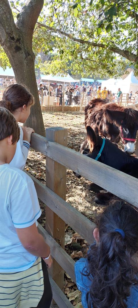 <span><p>Visita em fam�lia ao Parque de Serralves</p></span>