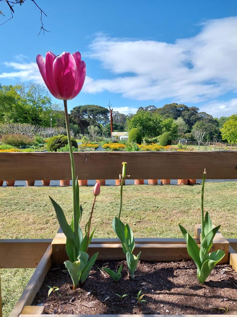 <span><p>Visita em fam�lia ao Parque de Serralves</p></span>