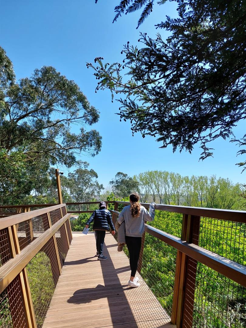 <span><p>Visita em fam�lia ao Parque de Serralves</p></span>