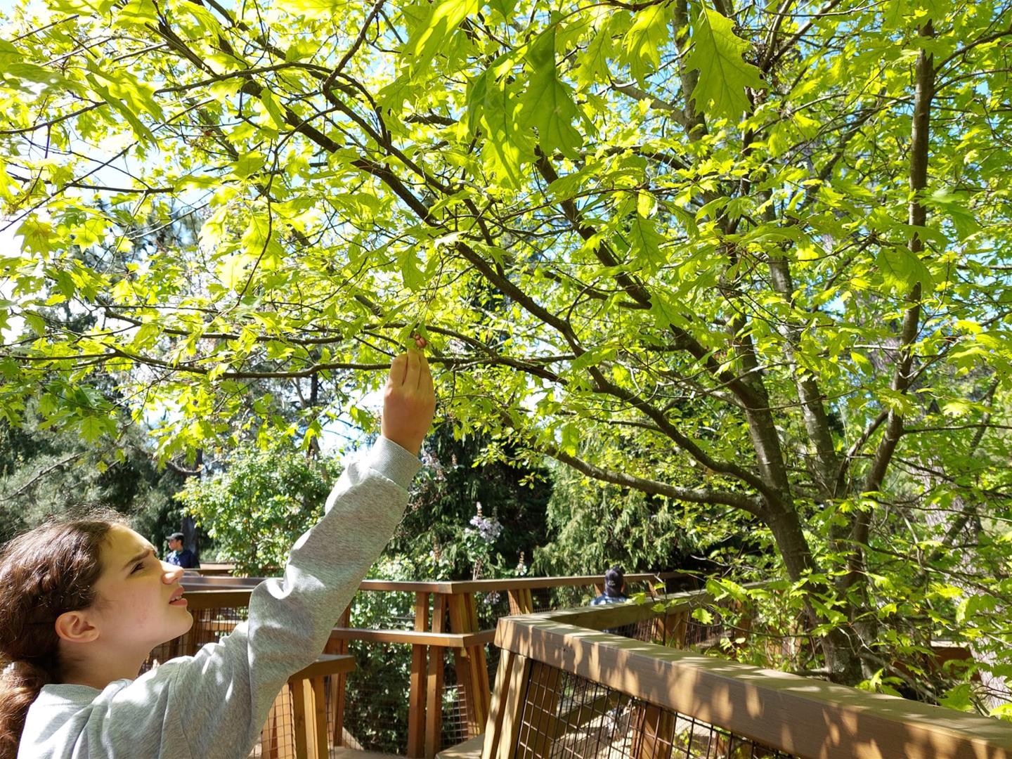 <span><p>Visita em fam�lia ao Parque de Serralves</p></span>