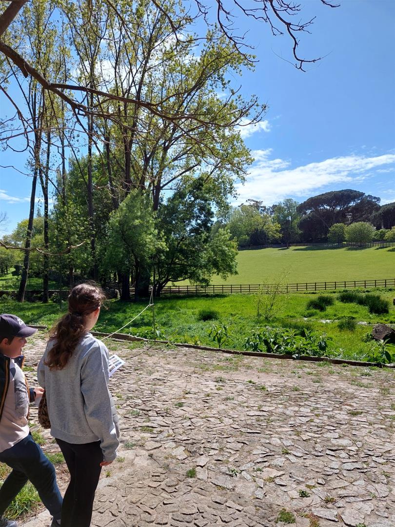 <span><p>Visita em fam�lia ao Parque de Serralves</p></span>