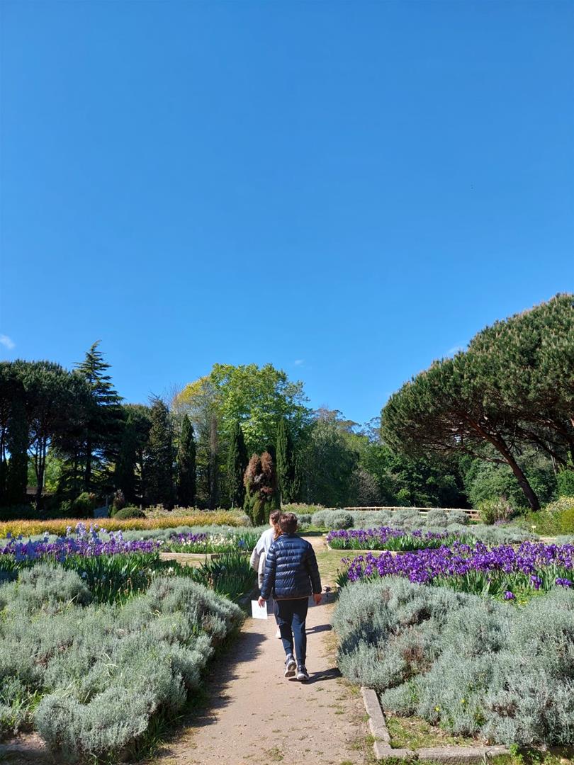 <span><p>Visita em fam�lia ao Parque de Serralves</p></span>