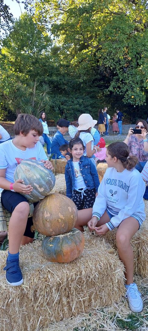 <span><p>Visita em fam�lia ao Parque de Serralves</p></span>