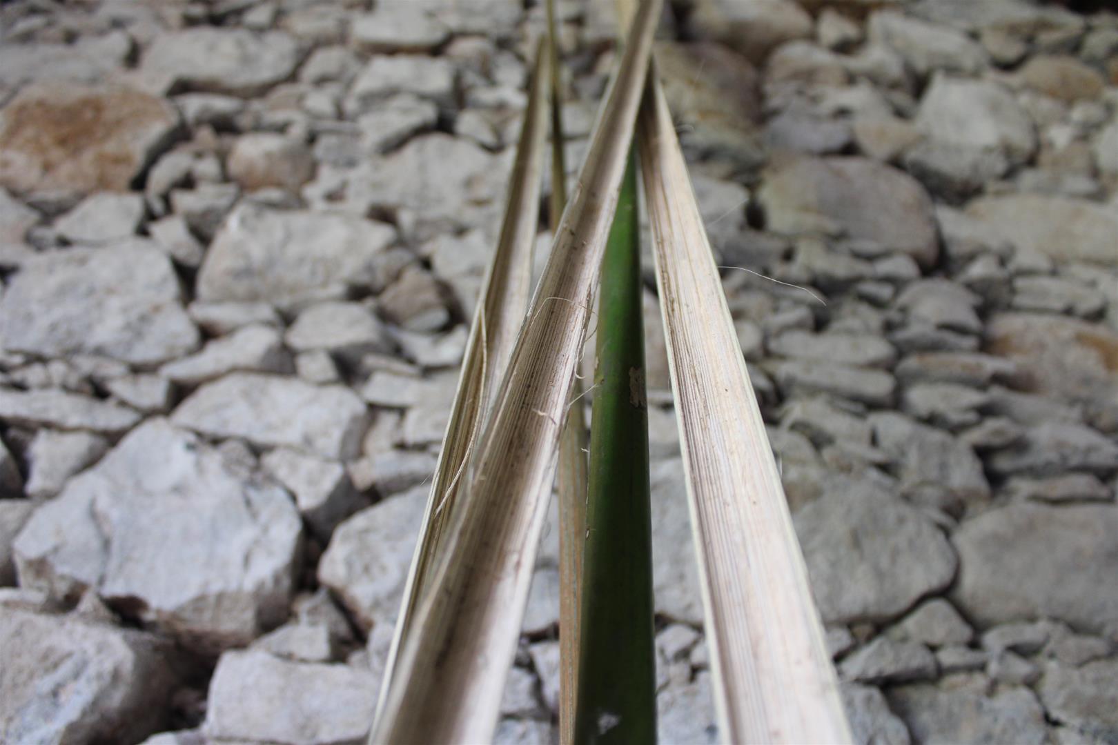 <span><p>Cestaria e utens�lios em folha de palmeira</p></span>