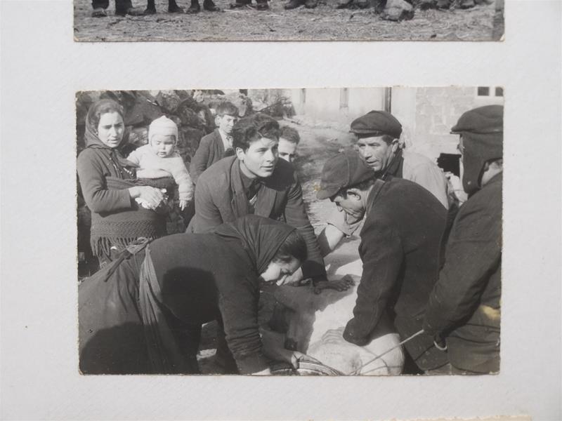 <span><p>Matan�a do porco</p></span>