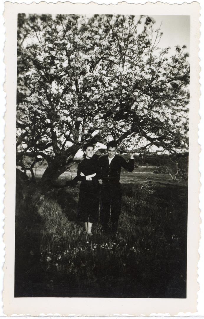 <span><p>Maria Joaquina e o seu Marido na d�cada de 50</p></span>