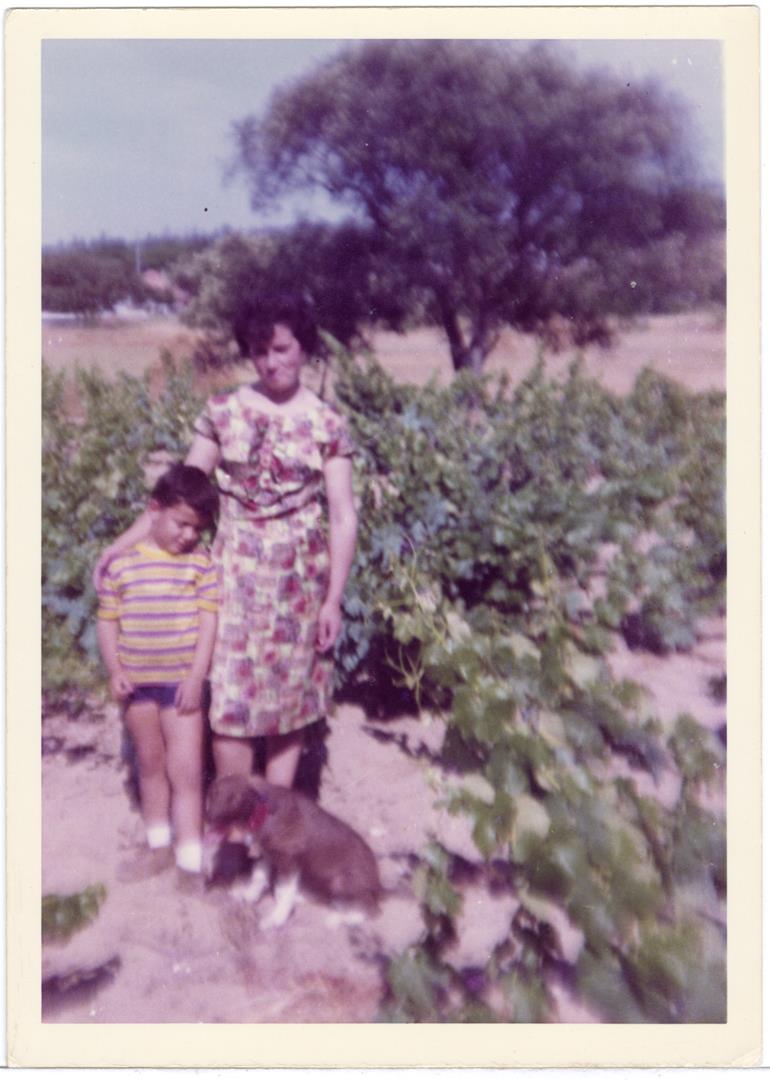 <span><p>Maria Joaquina Gomes com o filho em 1966</p></span>