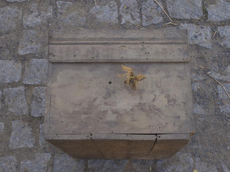 <span><p>Mosquiteiro</p></span>