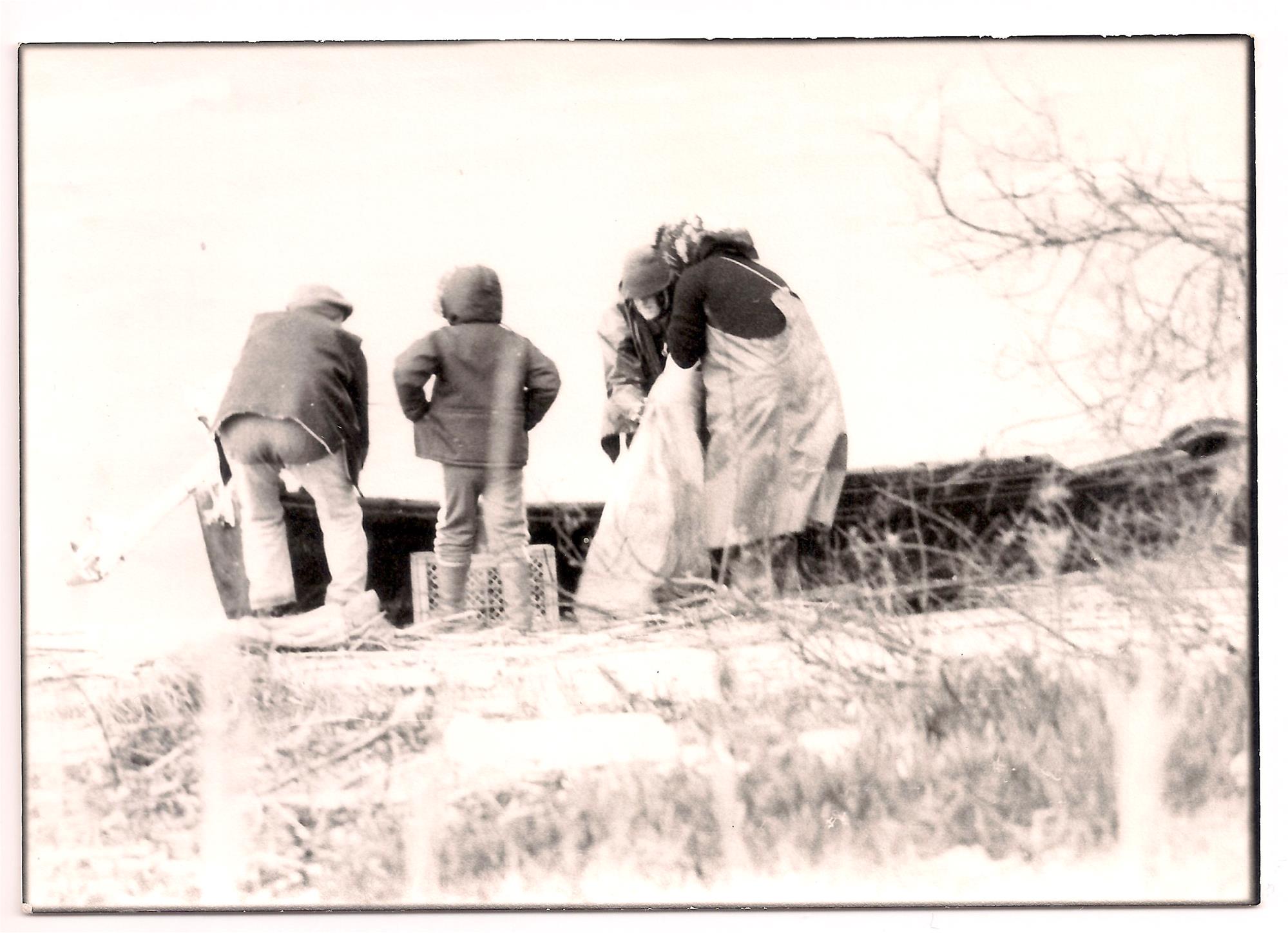 <span><p>Actividade Pesqueira</p></span>